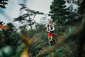 BIB: 
                            <button type="button" onclick="openModal(25258831)" class="btn btn-primary btn-sm float-right btn-popup" data-toggle="modal" data-target=".modal-high-quality">
                        <i class="fas fa-shopping-cart"></i> Add to Cart
                    </button>
                                            <button type="button" onclick="isThisMe(25258831, true)" class="btn btn-success btn-sm float-right btn-popup btn-isme hidden" data-toggle="tooltip" data-placement="bottom" title="นี่คือรูปของคุณใช่ไหม คลิกที่นี่เพื่อเอาเข้าอัลบั้ม">
                        <i class="fas fa-plus"></i> Add to album
                    </button>
                    <button type="button" onclick="isThisMe(25258831, false)" class="btn btn-warning btn-sm float-right btn-popup btn-isnotme hidden">
                        <i class="fas fa-ban"></i> Remove from album
                    </button>